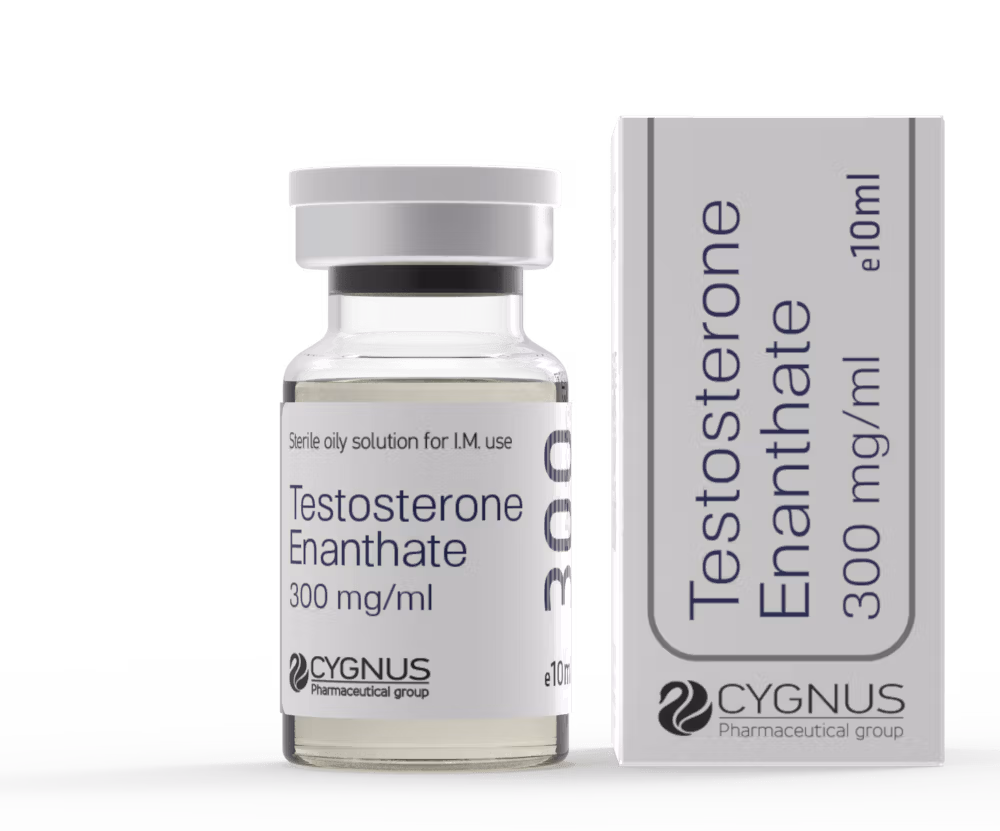 CYGNUS Enantato Testosterone 300 CYGNUS Enantato Testosterone 300