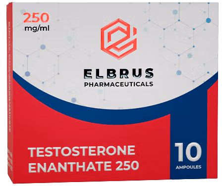 Elbrus Pharmaceuticals Testosterone Enantat Elbrus Pharmaceuticals Testosterone Enantat